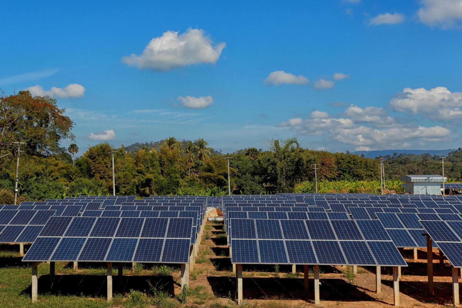 Solar cells on a big field photo