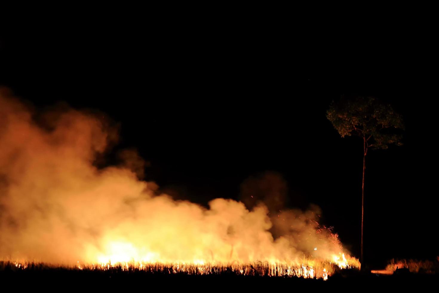 Bushfire burning orange and red smoke filled the sky at night. photo