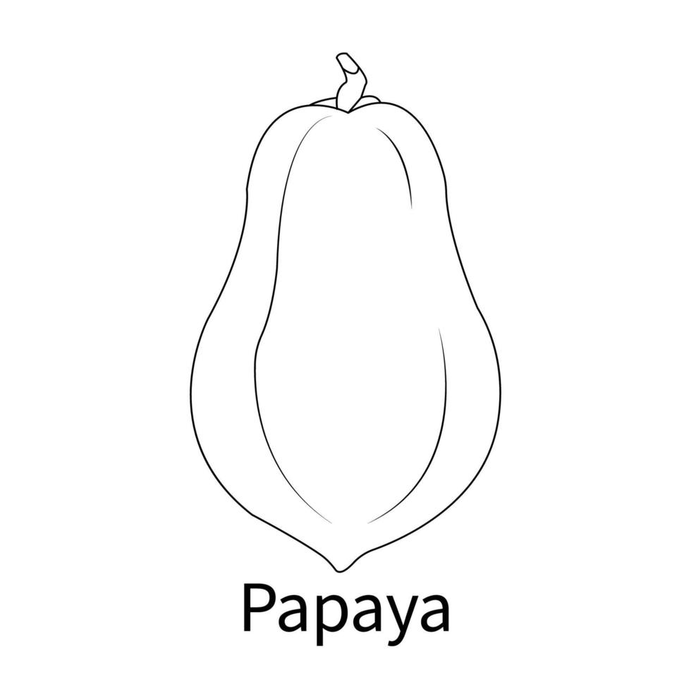 dibujos de frutas faciles para colorear para ninos y ninos pequenos papaya vector