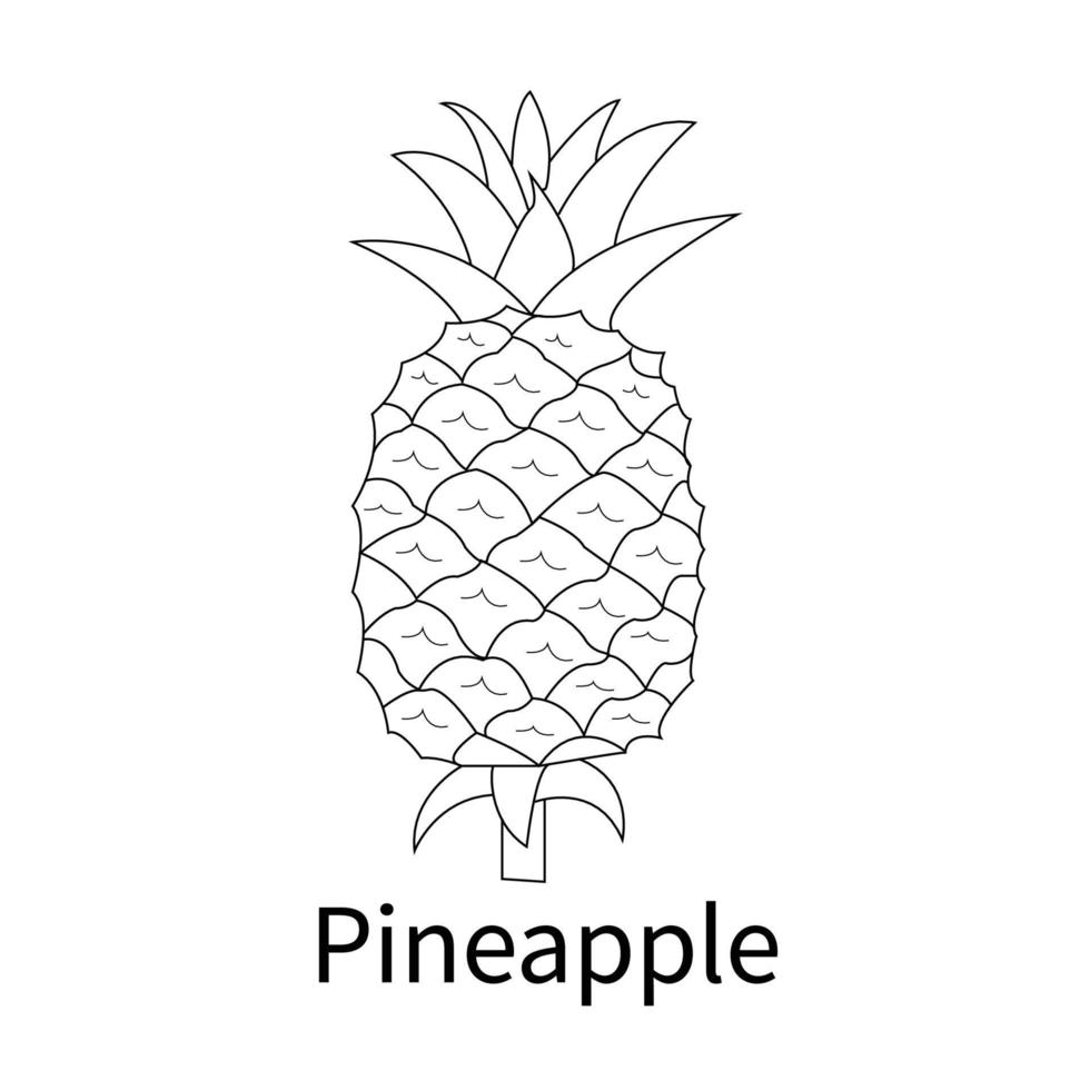 Easy Fruits Coloring Pages for kids and toddler pineapple vector