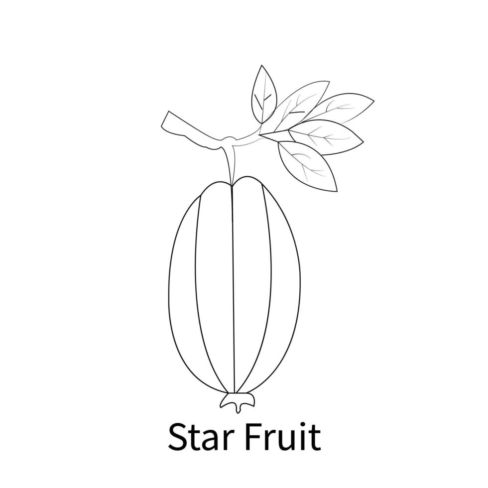 Easy Fruits Coloring Pages for kids and toddler star fruit vector