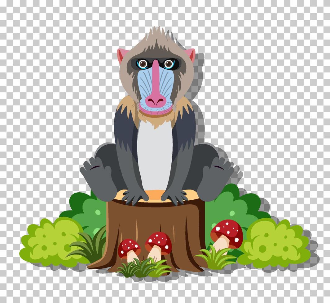 Cute mandrill in flat cartoon style vector