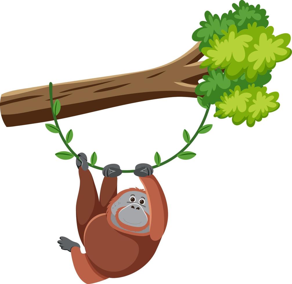 Orangutan hanging on tree vector