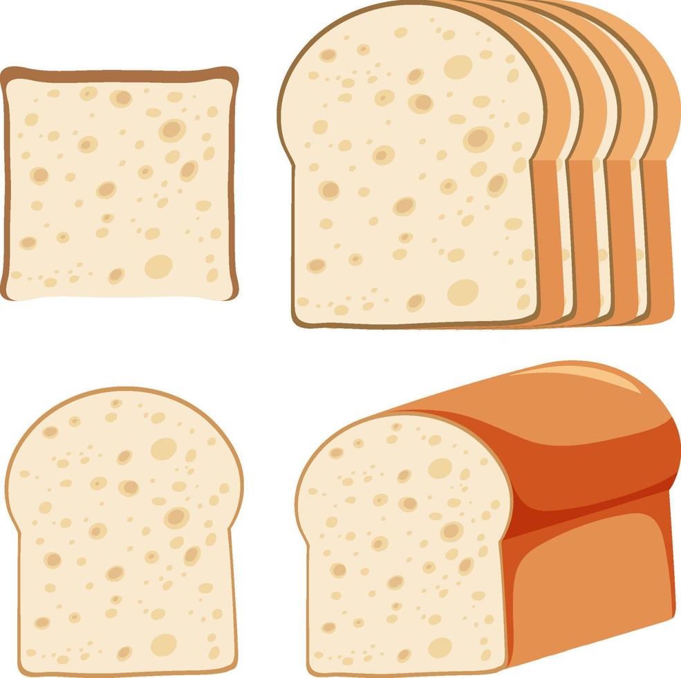 Set of different breads vector