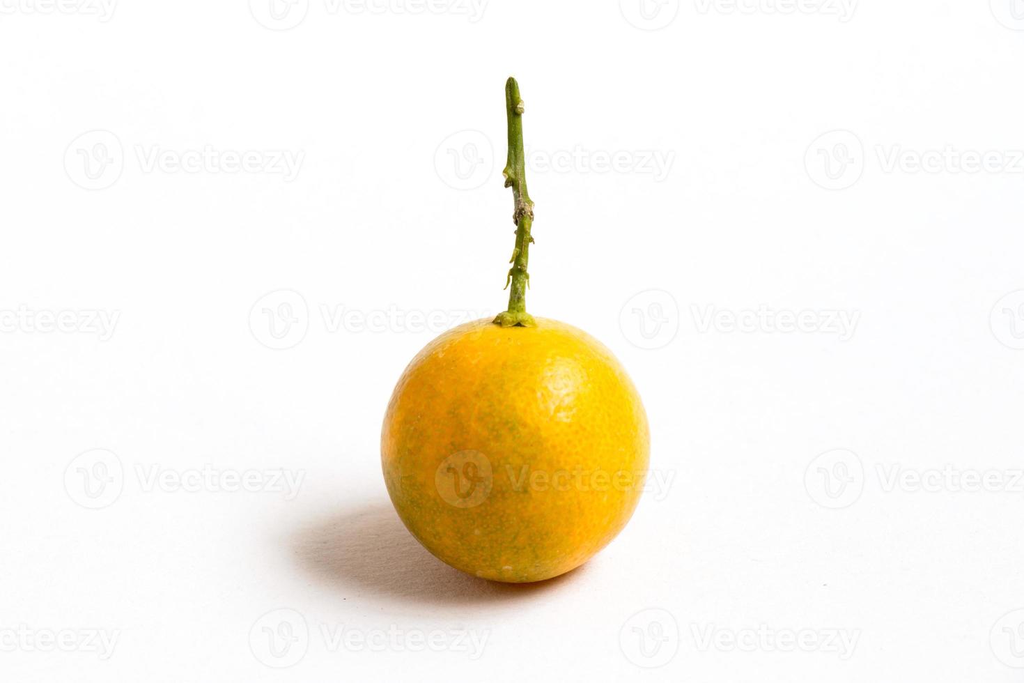 Closed up of kumquat orange that placed on white background photo