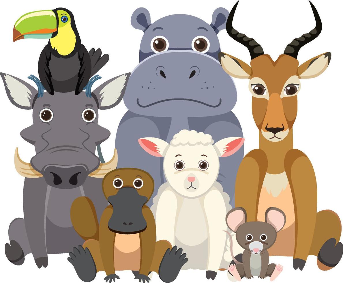 Wild animal group on white background vector