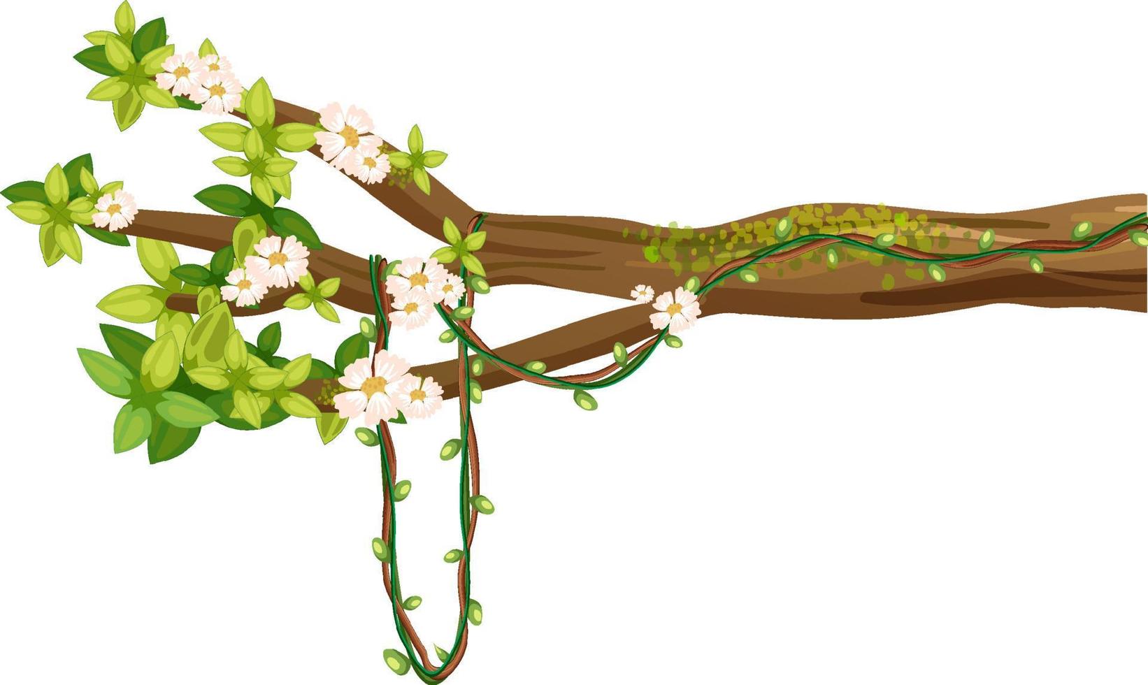 Cherry blossom branch isolated vector