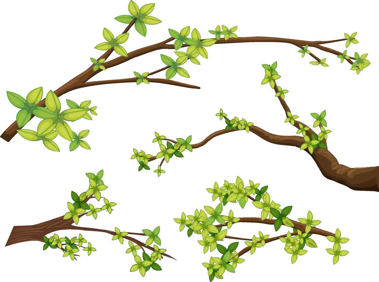 Set of different tree branches isolated vector