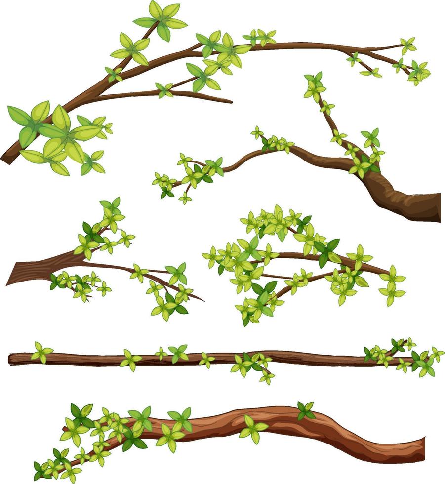 conjunto de diferentes ramas de árboles aisladas vector