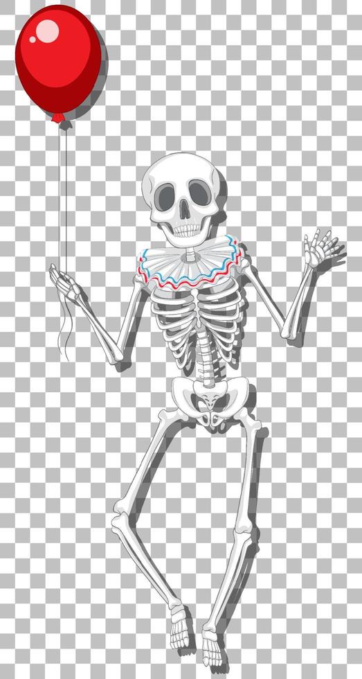 Human skeleton on grid background vector