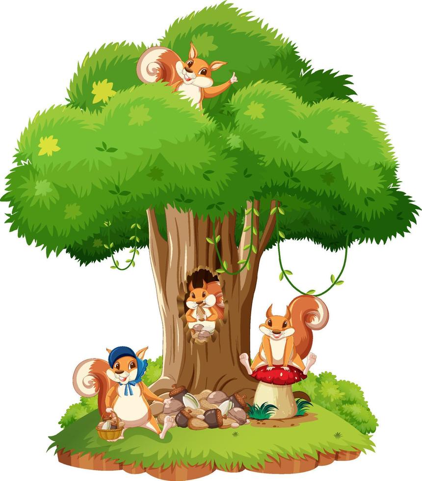 Scene with squirrels on the tree vector