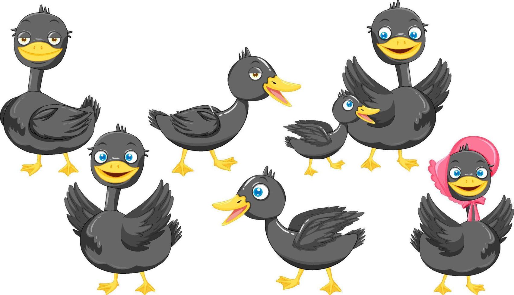 Set of different mallard duck cartoon characters vector