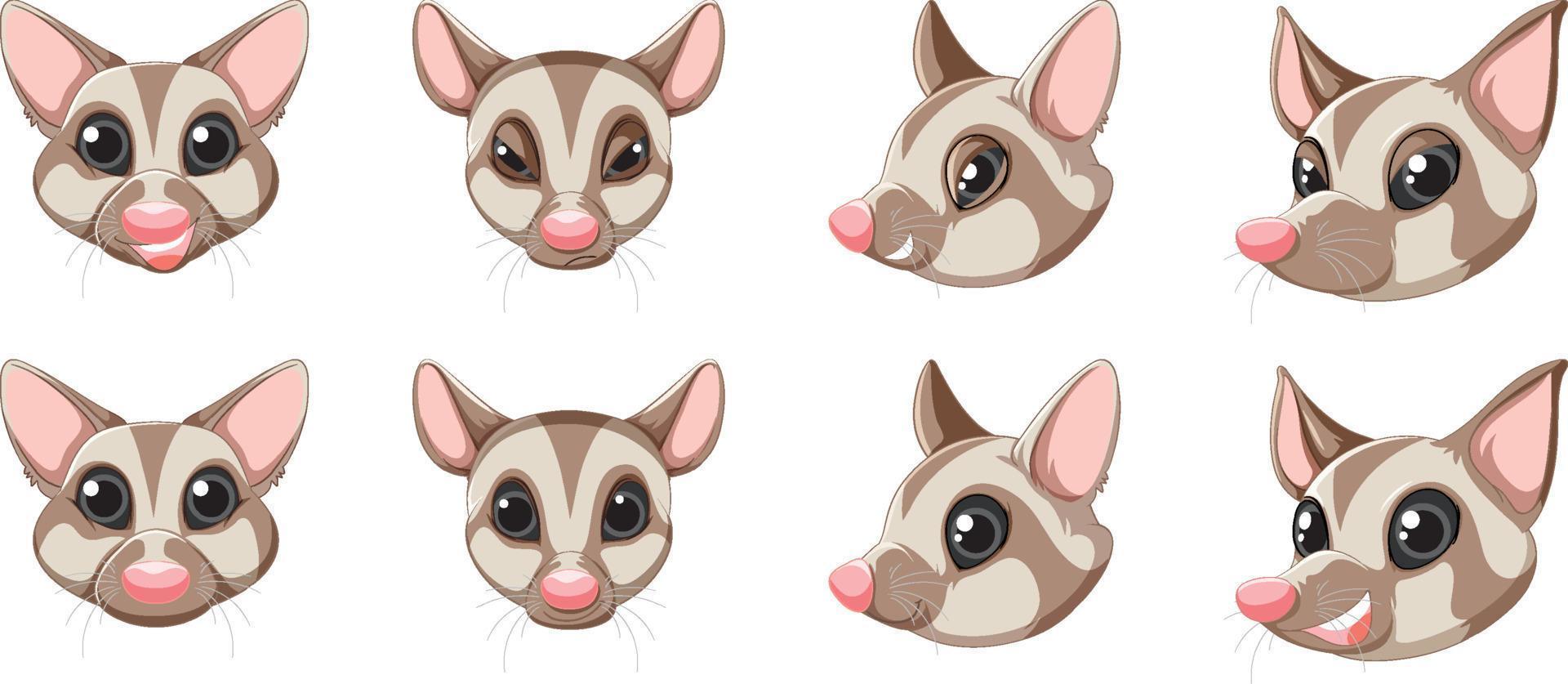 Set of cute sugar glider vector