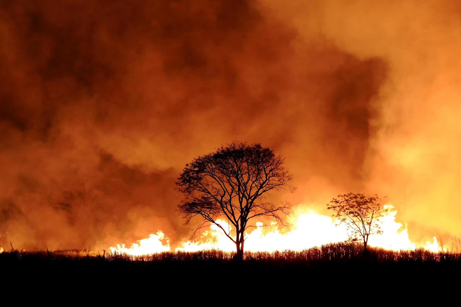 Bushfire burning orange and red smoke filled the sky at night. photo