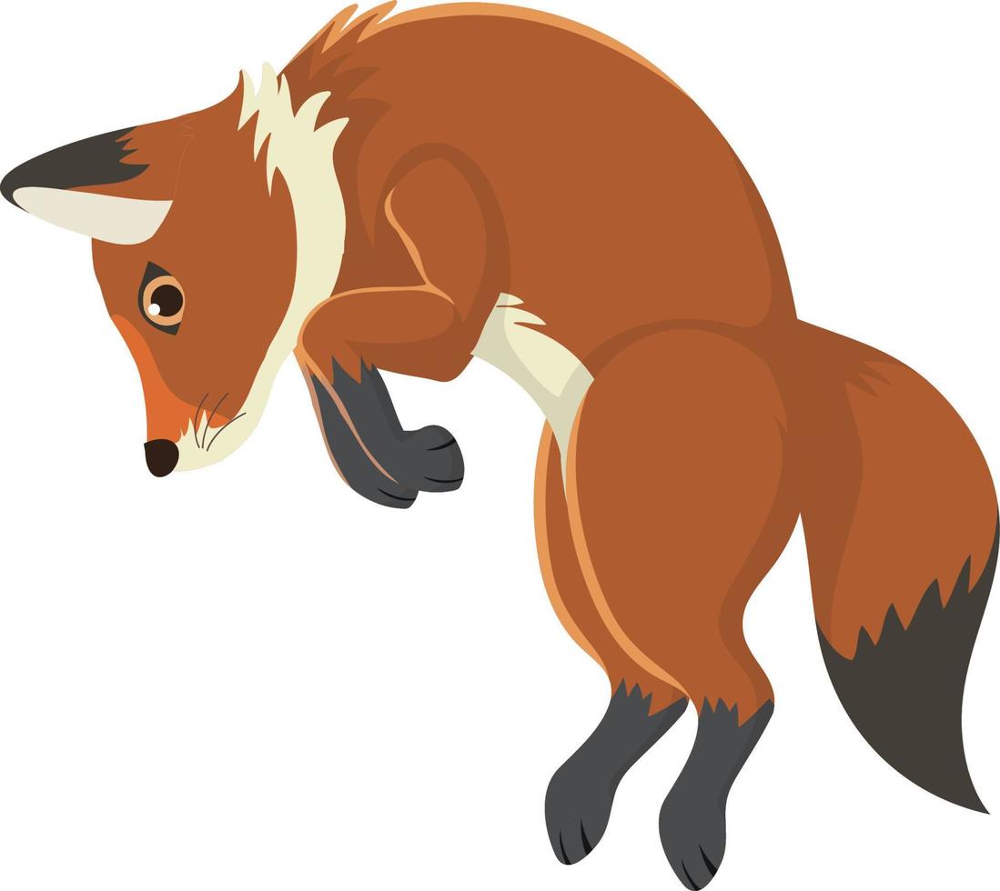 A fox jumping isolated vector