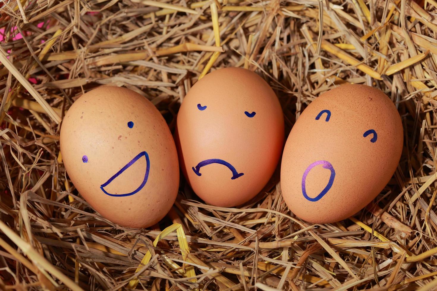 Emotion of fresh eggs  on a straw. photo