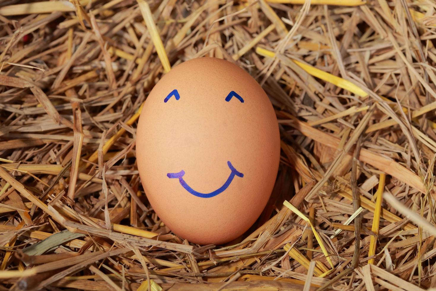 Emotion of fresh eggs  on a straw. photo