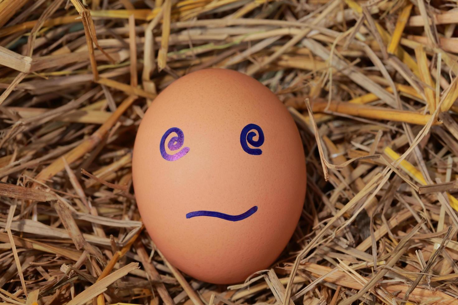 Emotion of fresh eggs  on a straw. photo