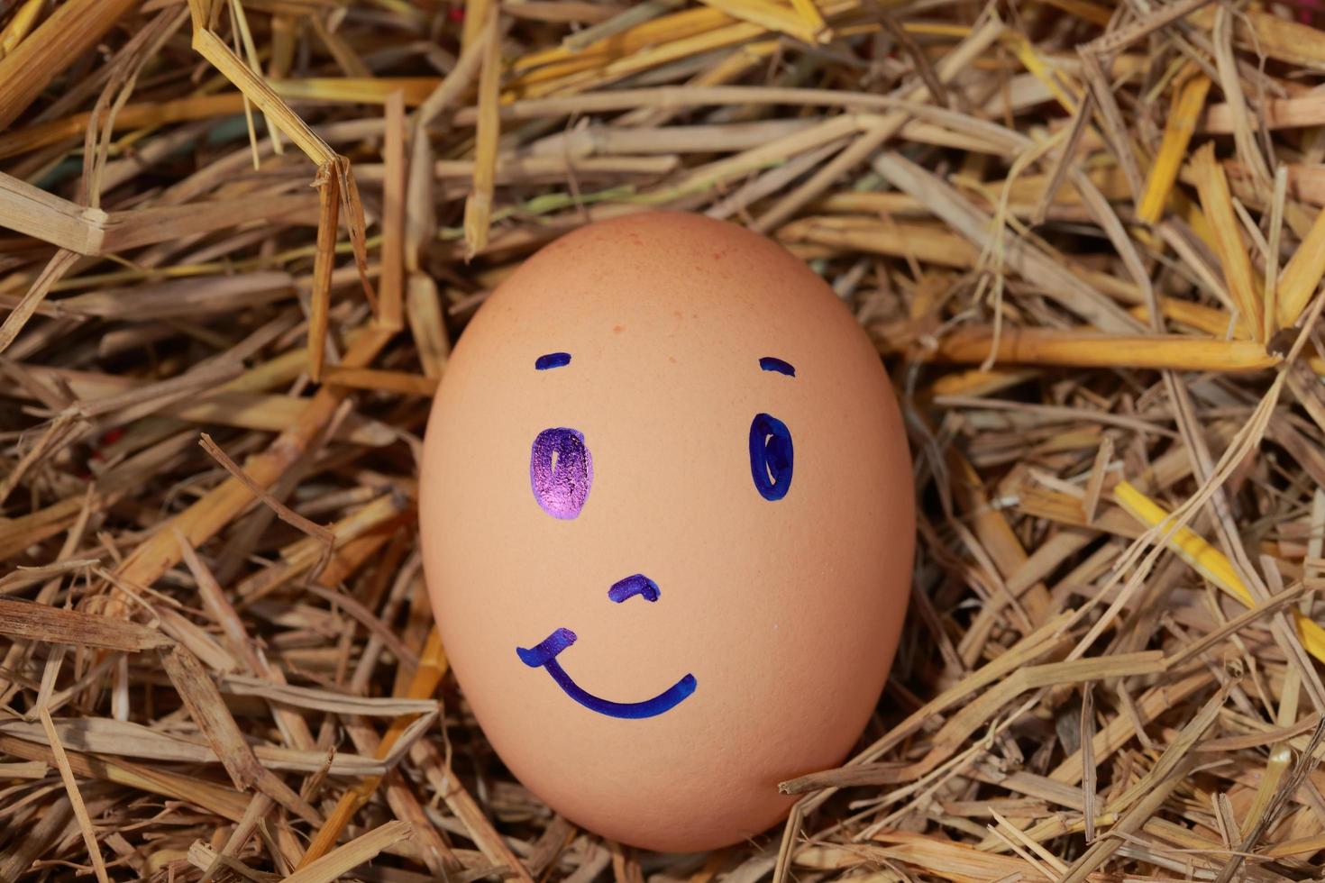 Emotion of fresh eggs  on a straw. photo