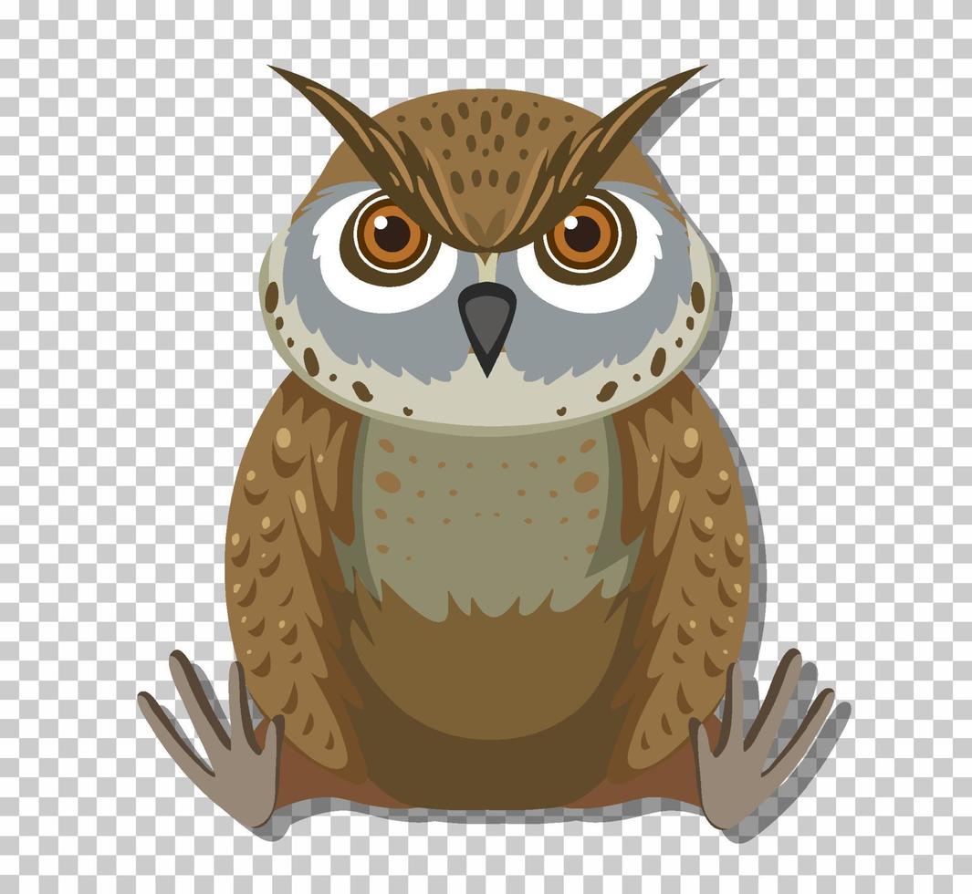 Cute owl bird in flat cartoon style vector
