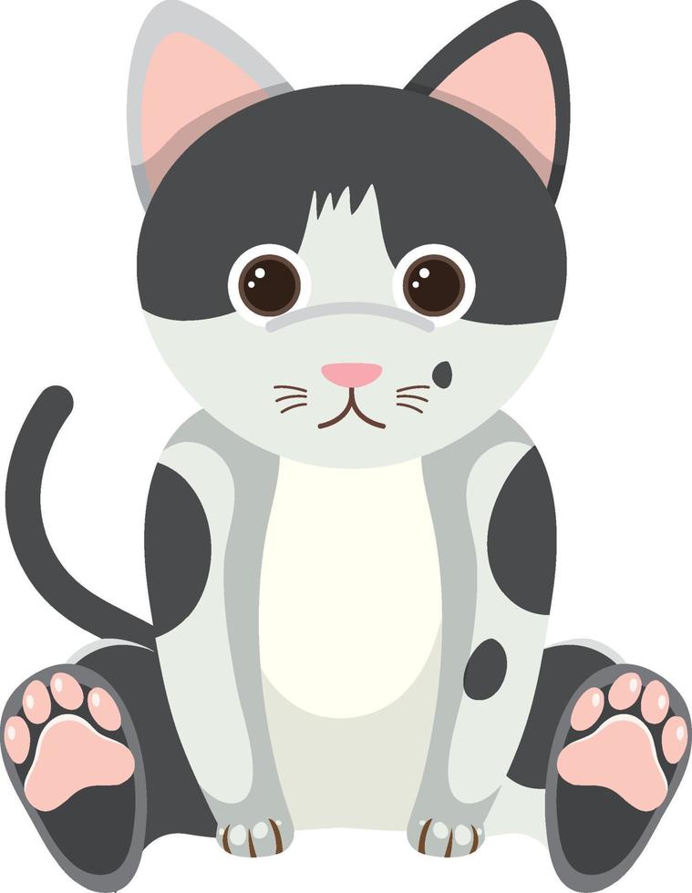 Cute cat in flat style isolated vector