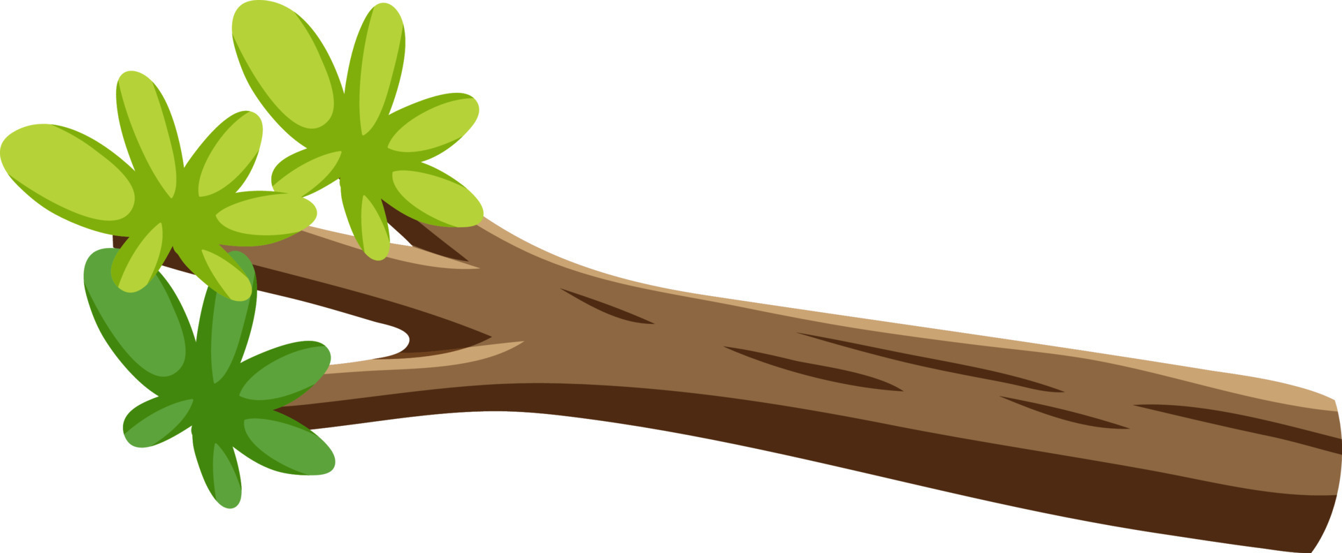 Isolated branch of tree 9202568 Vector Art at Vecteezy
