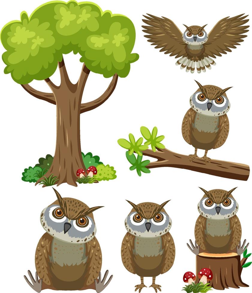 Wild animals set with nature elements vector