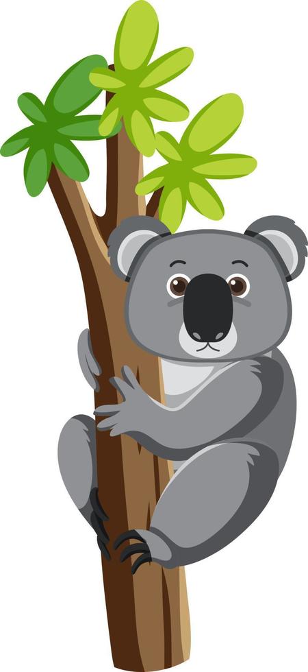 koala en el personaje de dibujos animados de árboles vector