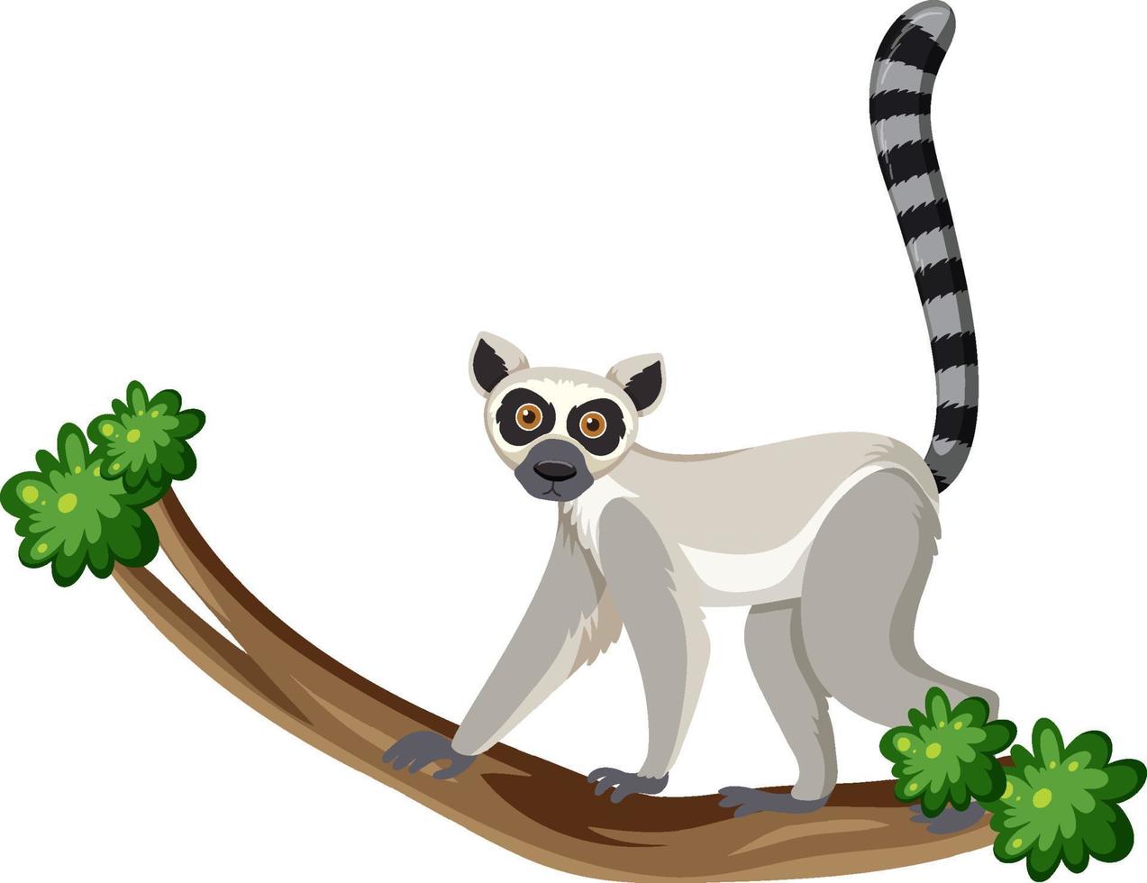 Lemur climb on tree branch vector