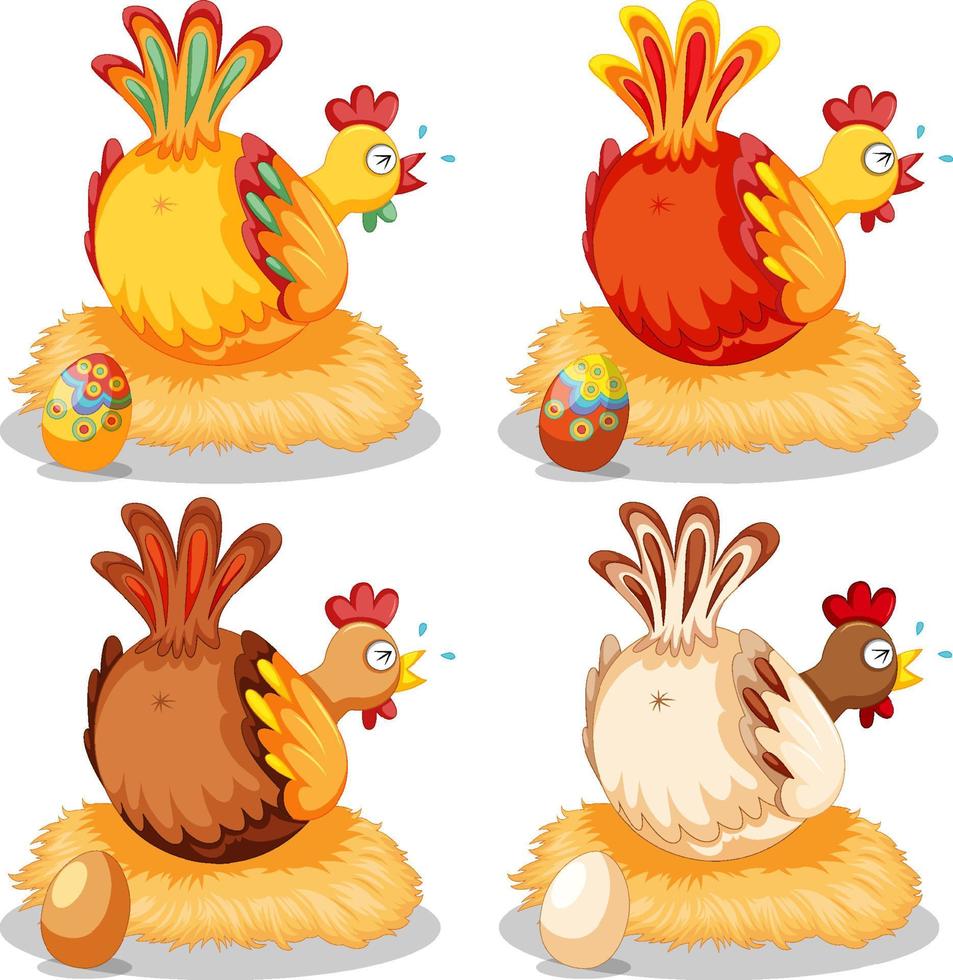 Cute chicken laying eggs vector