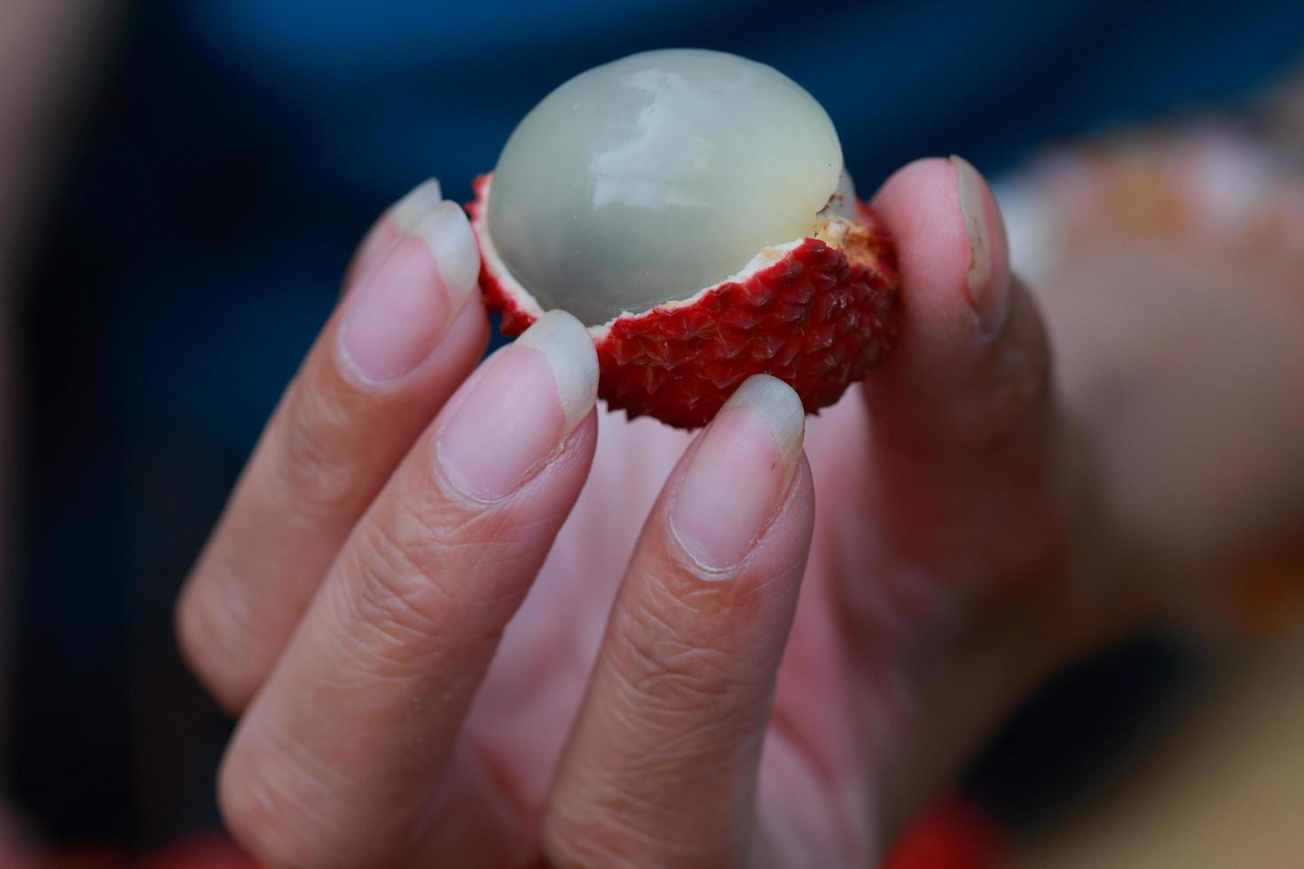 Lychee fruits presented in woman hands. photo
