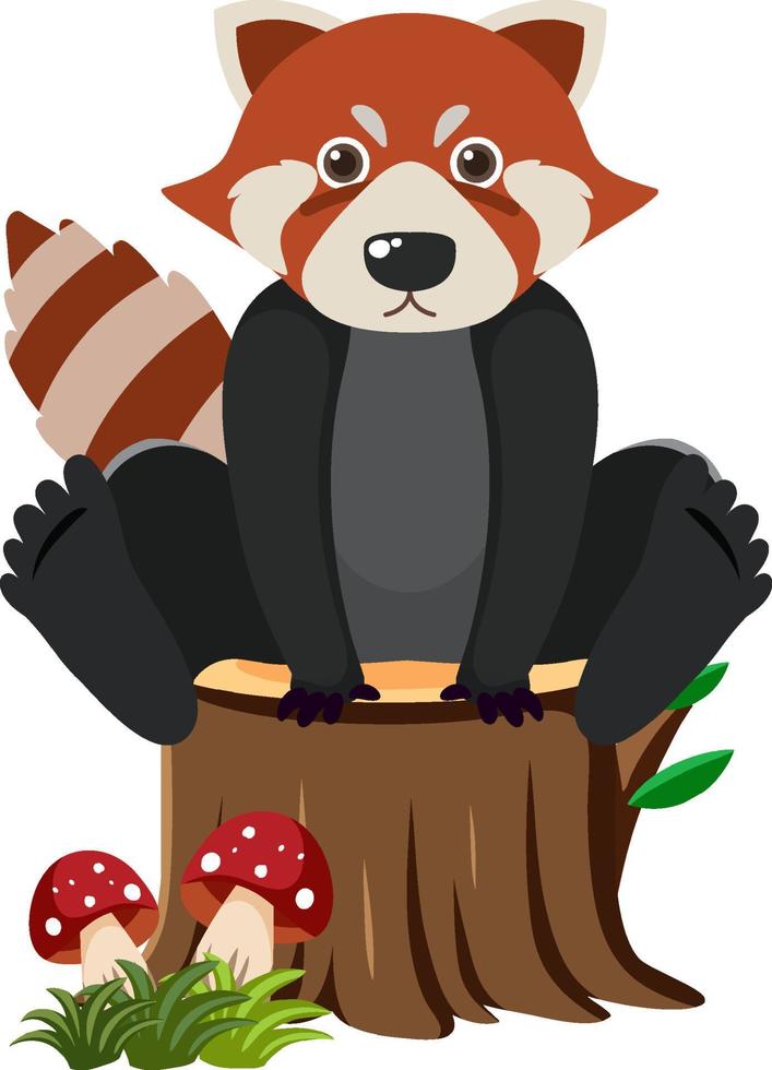 Cute raccoon in flat style vector