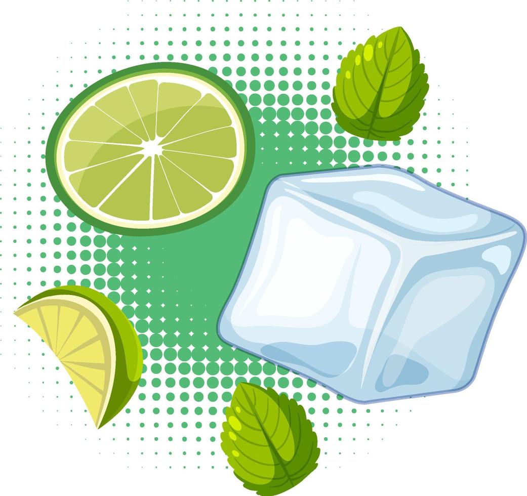 Freah ice cube with lime sliced and mint leaf vector