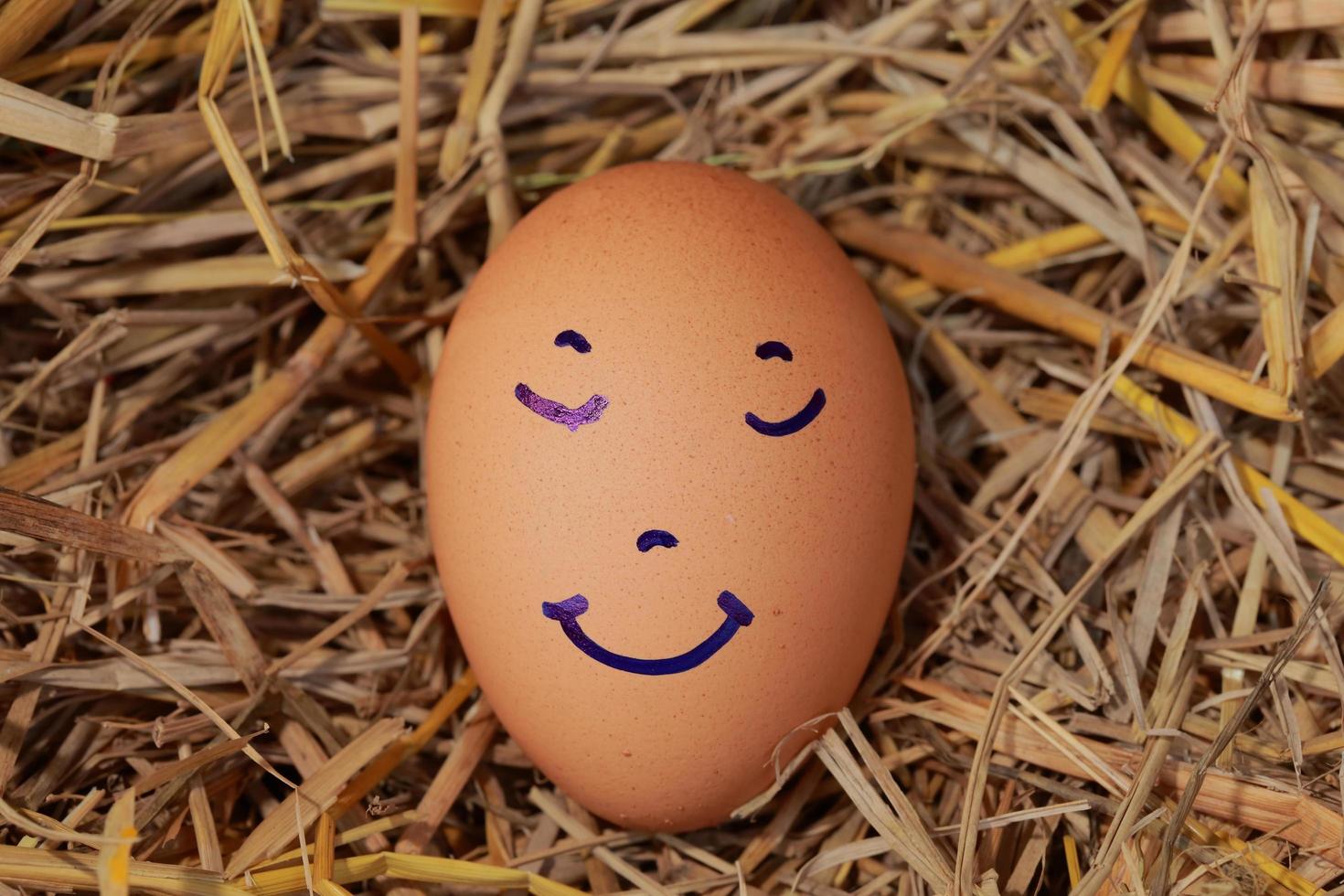 Emotion of fresh eggs  on a straw. photo