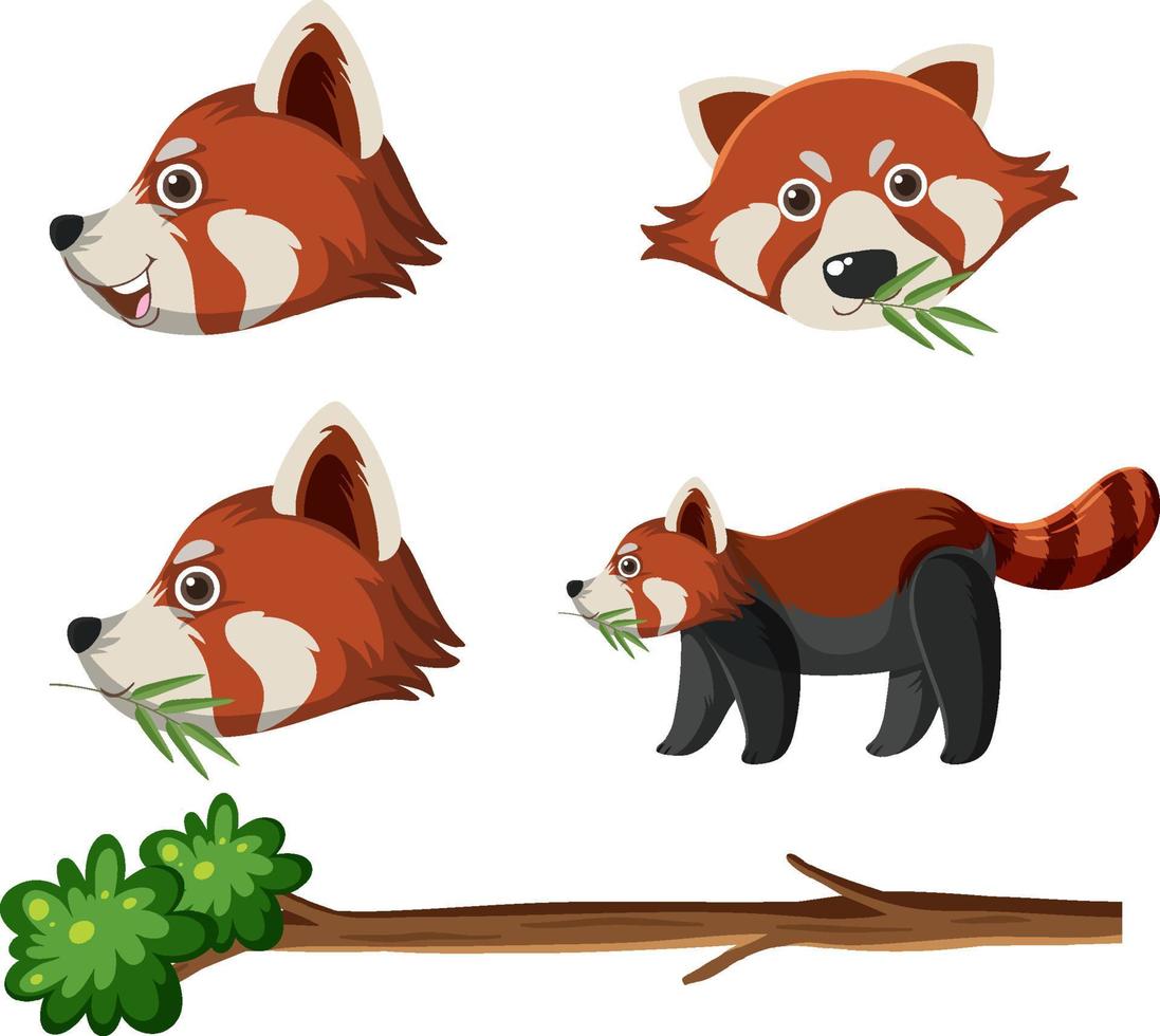 Set of cute red pandas cartoon vector