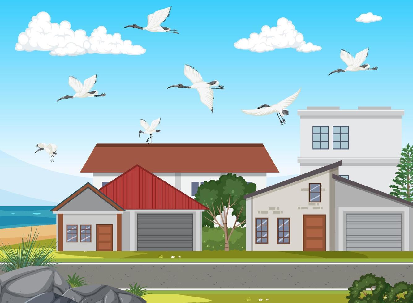 Outdoor scene with Australian white ibis group vector