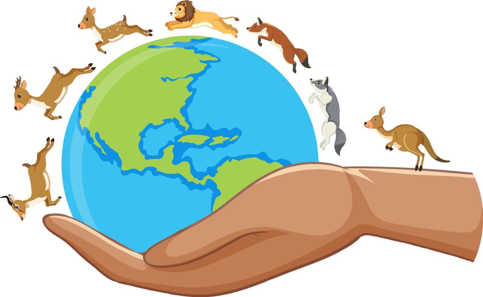 Wild animals around the world vector
