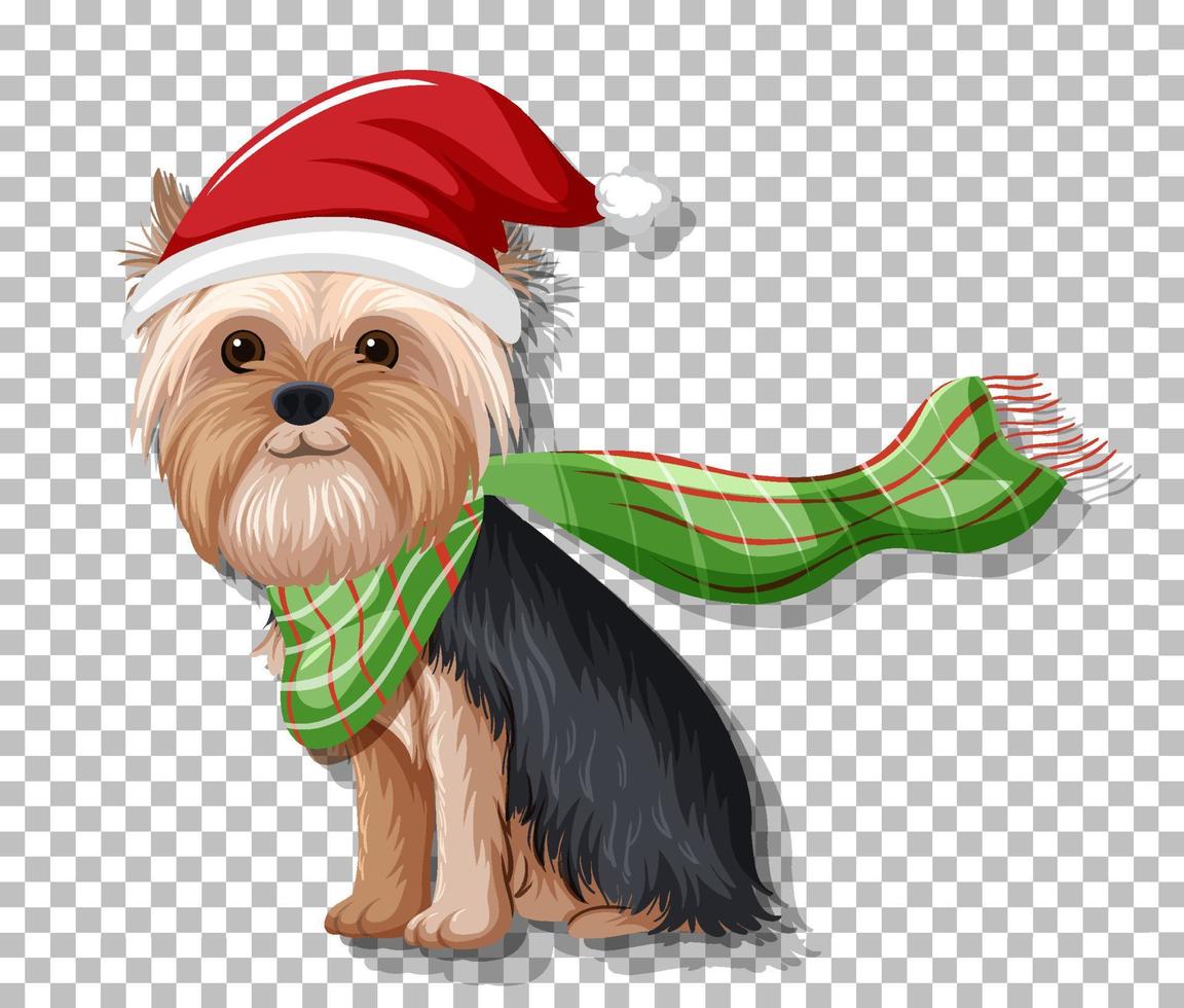 A dog wearing Christmas hat vector