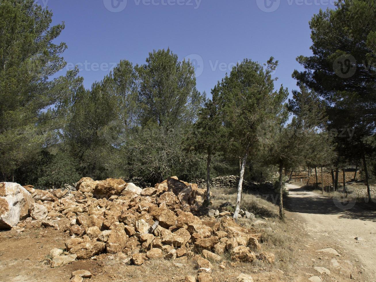 the island of Ibiza in spain photo