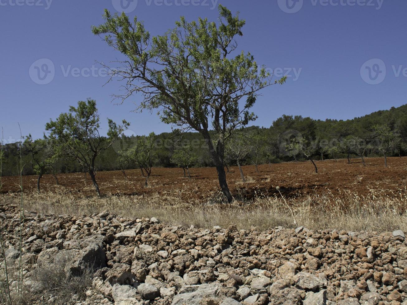 the island of Ibiza in spain photo