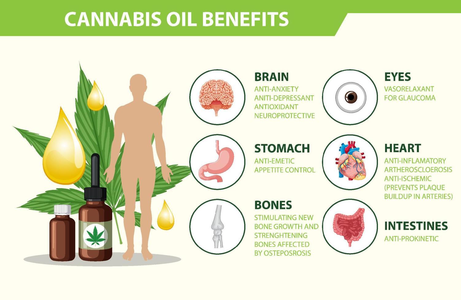 Benefits of CBD for physical health diagram vector