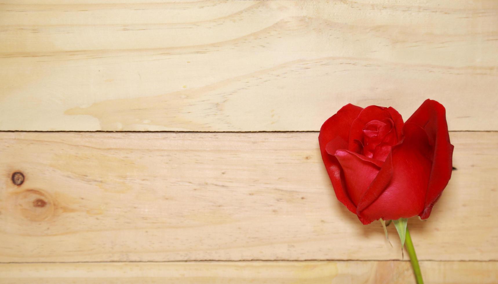 Design Beautiful red roses on old aged wood background. valentine concept. Space for text. photo