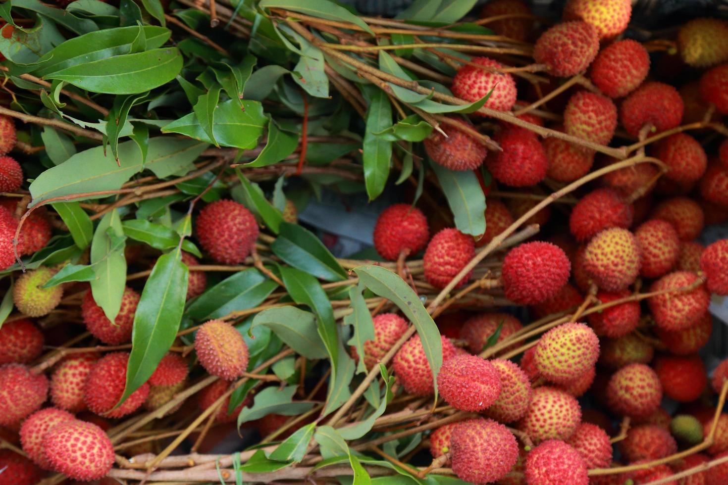 Lychees Fresh fruit a lot of them are sold for sale in the market. photo
