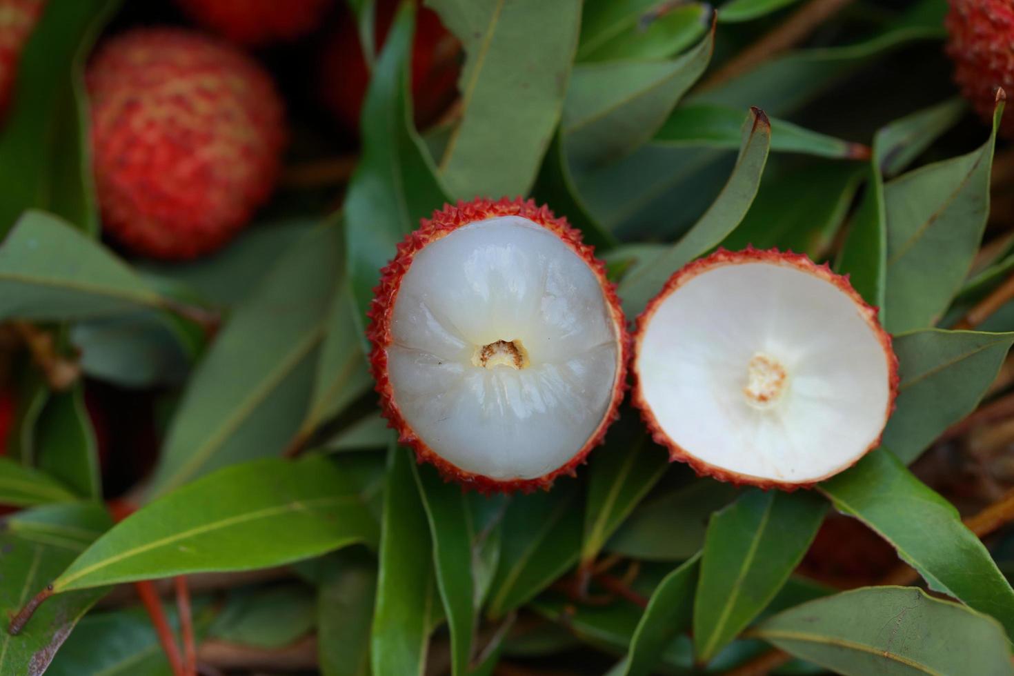 lichi, lichi fresco y pelado que muestra la piel roja y la pulpa blanca con hoja verde. foto