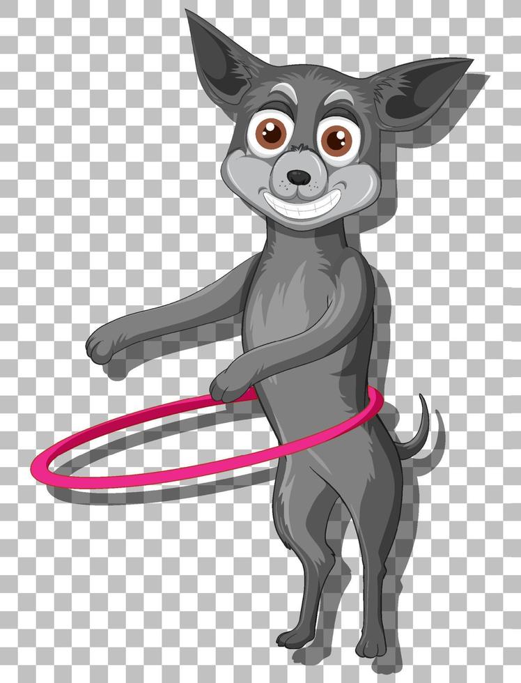 Chihuahua dog cartoon character with hula hoop vector