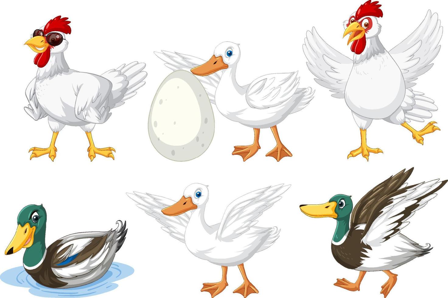 conjunto de diferentes personajes de dibujos animados de pollos vector