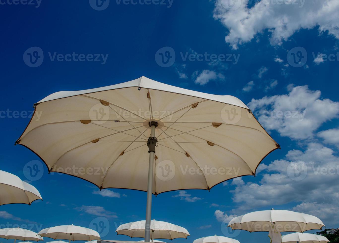 White umbrellas open on the beach photo