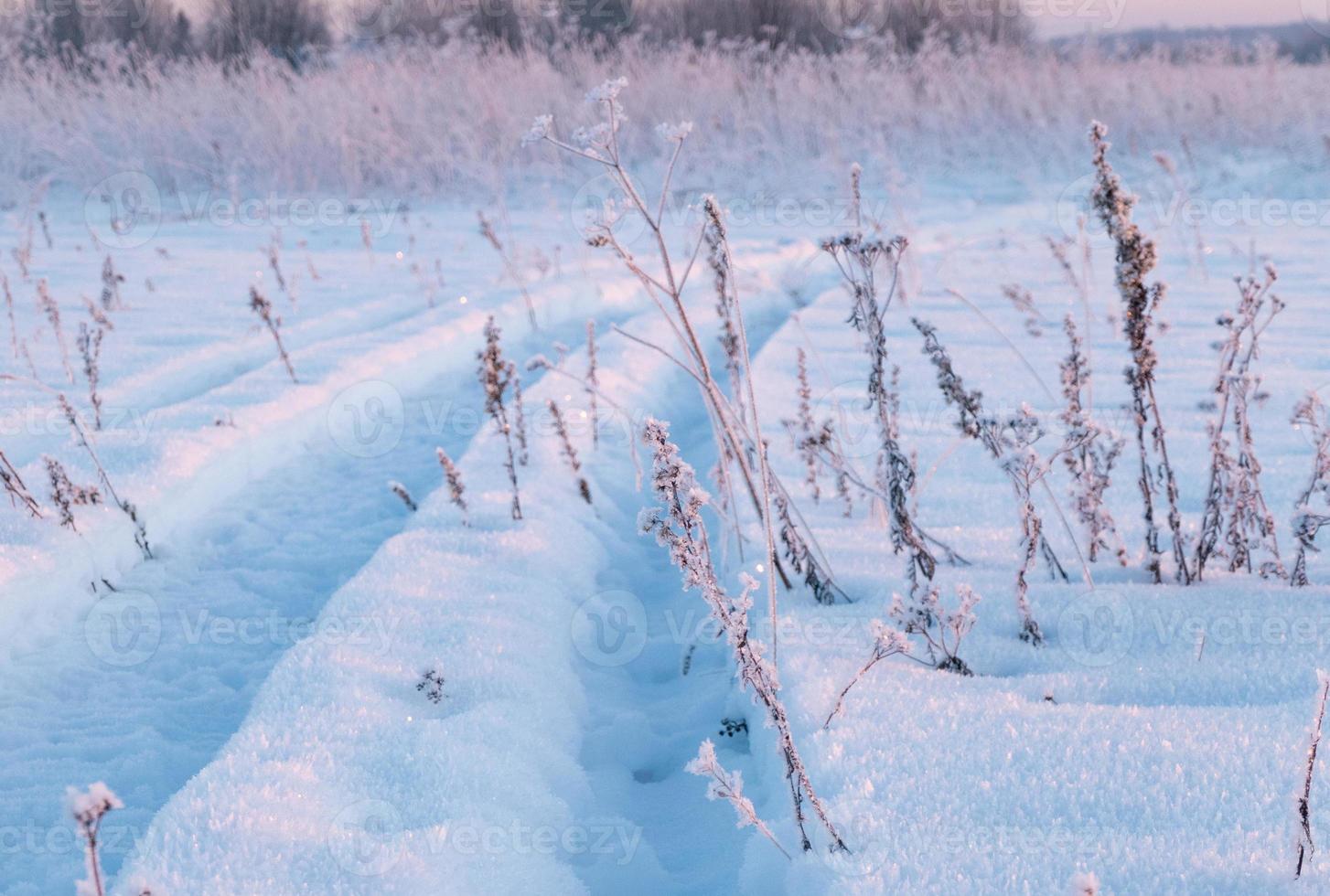 paisaje de invierno, huellas de neumáticos en la nieve, camino de nieve foto