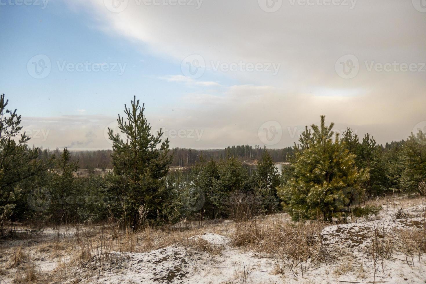 early spring landscape with a beautiful lake with fir trees and last snow against a cloudy sky photo