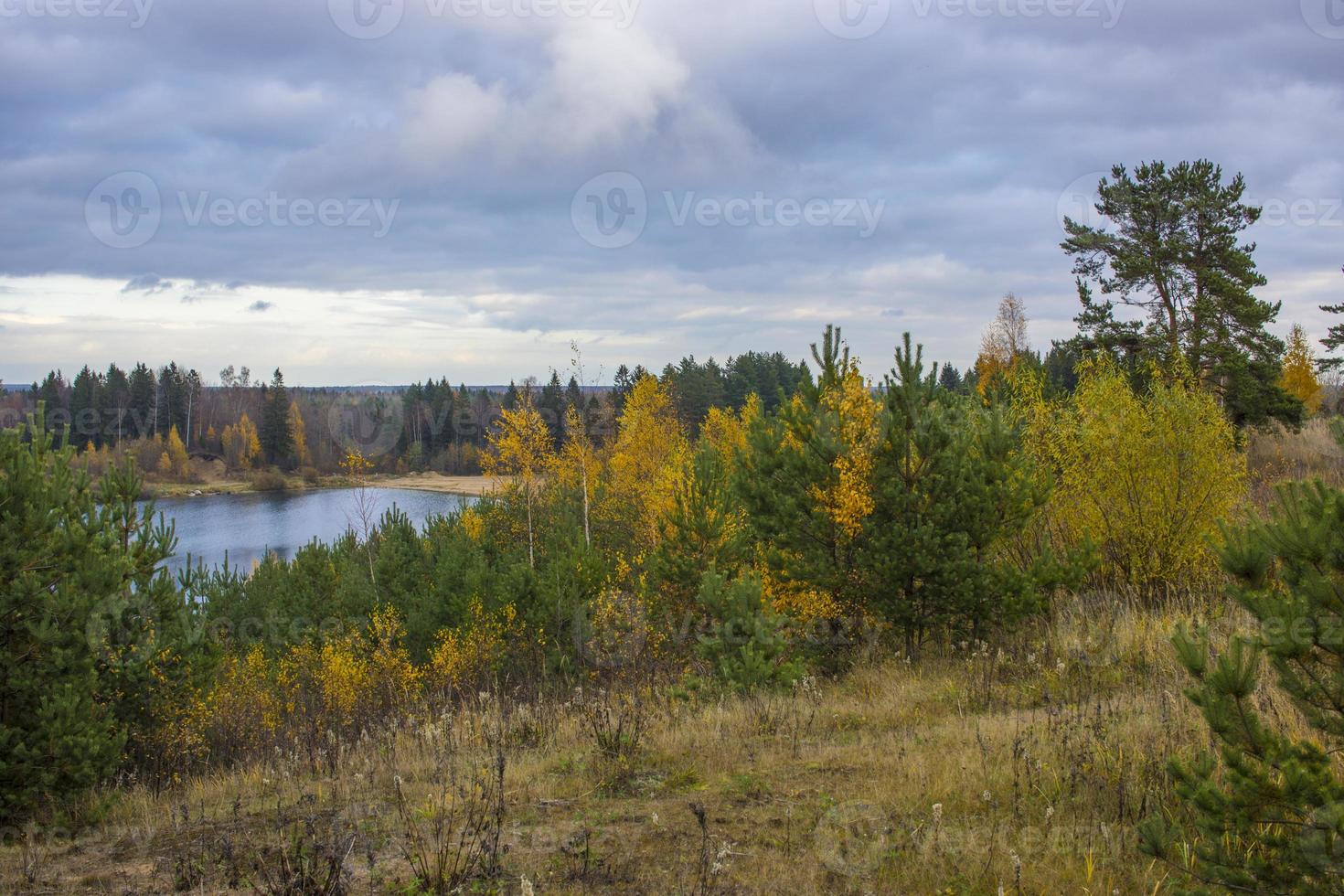 Summer landscape with a beautiful lake with fir trees and forested mountains against a cloudy sky photo